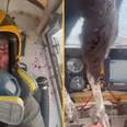 Pilot calmly takes video after enormous bird smashes through windscreen covering him in blood