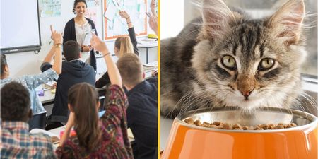 Teacher labels schoolgirl ‘despicable’ after she refuses to accept that someone can ‘identify as a cat’
