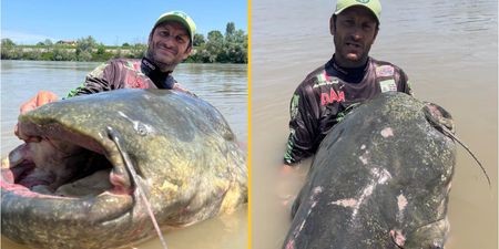 ‘Monster’ 2.85m catfish caught during epic struggle could be a world record