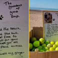 Free tennis balls left on beach to honour the ‘goodest of good boys’