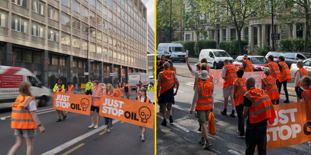 Just Stop Oil ‘slow walk’ protests take up over 13,000 Met Police shifts and cost taxpayer £4.5m
