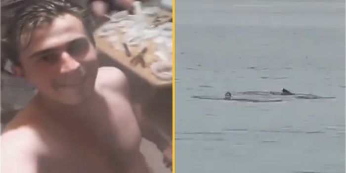 Man eaten alive by shark