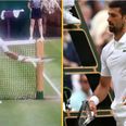 Novak Djokovic fined £6,000 for destroying racket during Wimbledon final