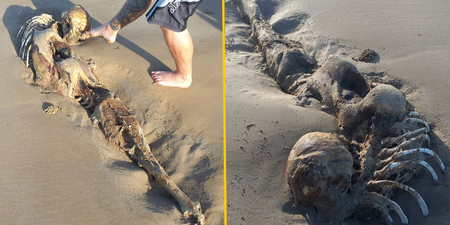 Mystery over ‘alien-like remains’ found on popular beach