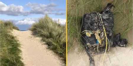Package with £1.7million worth of cocaine found by walker on popular beach