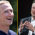 Elon Musk challenges Mark Zuckerberg to a ‘d*** measuring contest’ as feud continues