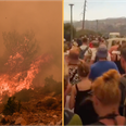 Jet2 and TUI cancel ALL flights to Rhodes as fire rips through holiday island