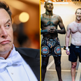 Mark Zuckerberg shows off ripped physique ahead of Elon Musk cage fight
