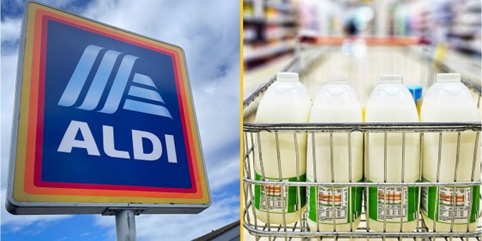 Aldi removing 'use-by' dates on milk bottles and telling shoppers to use 'sniff test'