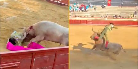 Bullfighter gored in the rectum and thrown in the air as horrified spectators watch on