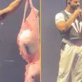 Drake has the largest bra ever seen thrown on stage at him