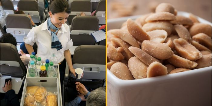 Woman 'forced' to buy every bag of nuts on UK flight