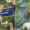 Family find live frog in packet of ‘triple washed spinach’
