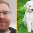 Man found dead after burglars broke into his home to steal his labradoodle