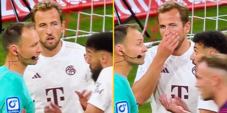 Harry Kane tries to argue with referee but realises he can’t speak German