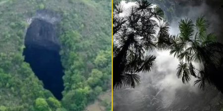 Huge ancient forest world discovered 630 feet down sinkhole in China