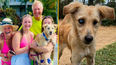 British family raises £3,000 to fly ‘adorable’ blind stray puppy to the UK from Mauritius