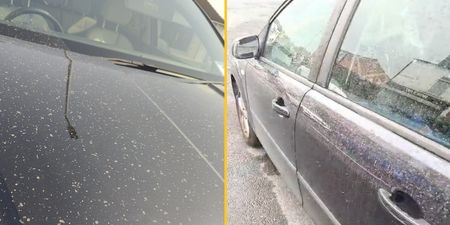 Met Office explains why your car is suddenly dirty today