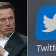 Elon Musk wants everyone to pay for Twitter/X