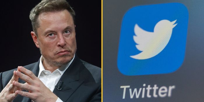 Elon Musk says everyone could have to pay for Twitter/X