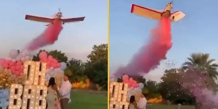 Horror moment plane crashes at gender reveal party, killing pilot