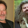 Robin Williams wanted to play Hagrid in the Harry Potter movies