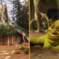 You can book a stay at Shrek’s Swamp on Airbnb from next month