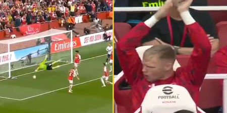 Arsenal fans spot Aaron Ramsdale’s reaction to David Raya wonder save