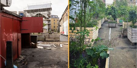 London’s ‘worst street’ gets transformed into urban jungle