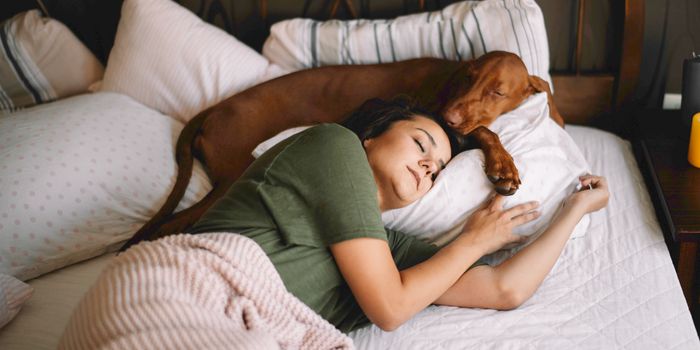 Sleep with dogs