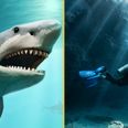 Divers find Megalodon teeth in flooded cave in Mexico