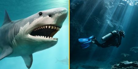 Divers find Megalodon teeth in flooded cave in Mexico