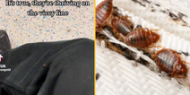 Bed bugs land in London as Underground commuter says ‘its over’