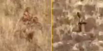 Clear video of Bigfoot sighting shows ‘Sasquatch’ hiking up a mountain