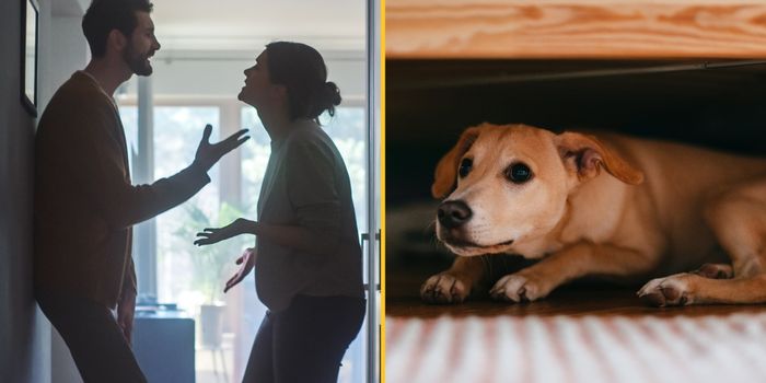 Woman made to choose between boyfriend or dog