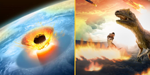 Scientists reveal that it was not the impact of the asteroid that killed off the dinosaurs