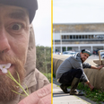 ‘I’m an urban forager – 50% of my food comes from the streets and I spend just £5-a-week at the supermarket’