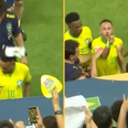 Neymar hit on the head by Brazil fans