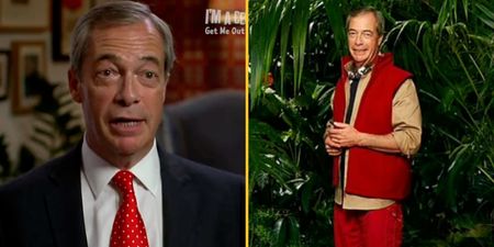 Famous faces call for I’m A Celeb boycott after Nigel Farage enters jungle