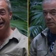 I’m A Celebrity bosses receive furious legal letter from Nigel Farage aides over footage