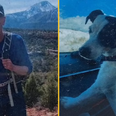 Missing hiker found dead two months after disappearance with dog still alive by his side