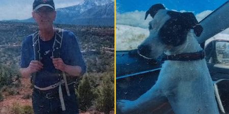 Missing hiker found dead two months after disappearance with dog still alive by his side