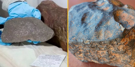 Man keeps rock for years hoping it’s gold but it turns out to be even more valuable