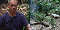 I’m a Celebrity is actually filmed in a ‘fake’ jungle with a roof over it