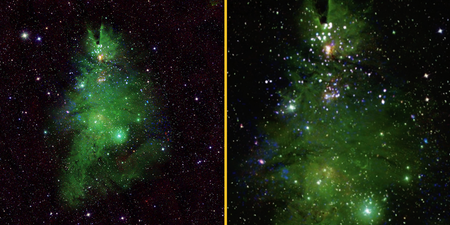 NASA shares remarkable new photo of ‘Christmas tree’ star cluster