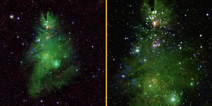 NASA shares remarkable new photo of 'Christmas tree' star cluster