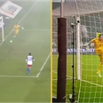 Hamburg’s goalkeeper howler dubbed the ‘best own goal ever’