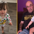 ‘Rapid review’ launched after 2-year-old boy found starved to death next to dad’s body