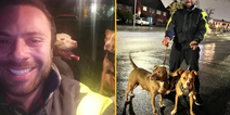 Man drives 200 miles on New Year’s Eve to save XL Bullies