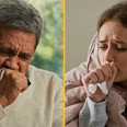 Warning issued as cases of highly contagious ‘100 day cough’ reach decade high in UK